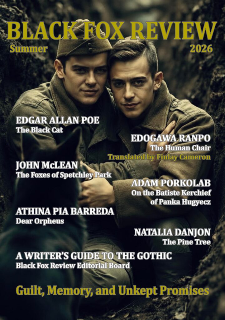 Black Fox Review — Summer 2026 (Matatabi Press), cover